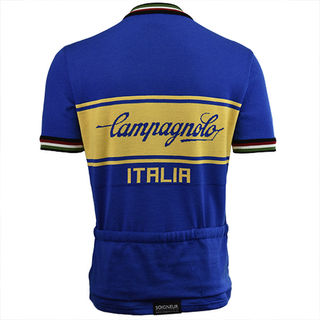 raleigh campagnolo jersey